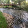 Celebrating the Culture of Wheat Ridge, Colorado
