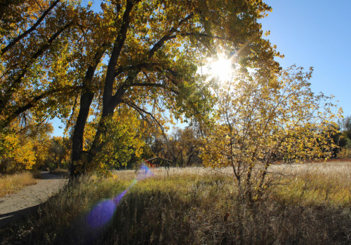 Exploring the Senior-Friendly Parks and Trails of Wheat Ridge, CO