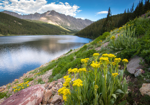 What is the Weather Like in Wheat Ridge, CO for Seniors? A Guide for Elderly People